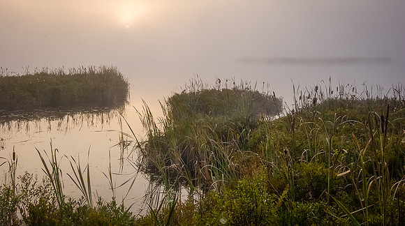 DAWN