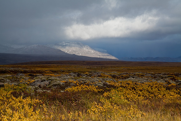 THINGVELLIR