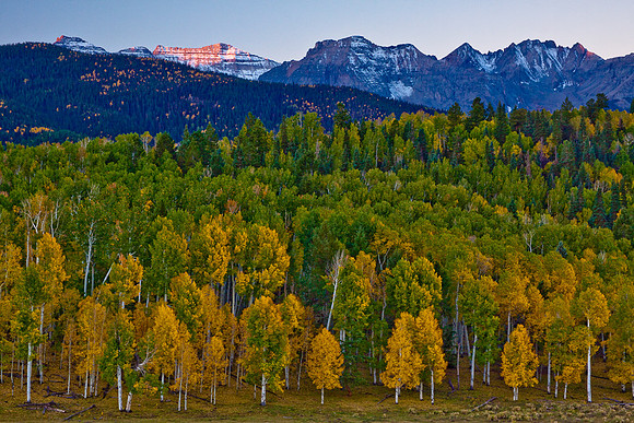 Dallas Divide