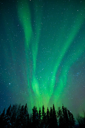 GREEN FIRE