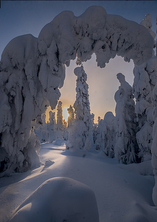 ARCH