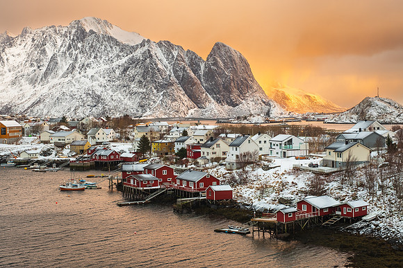 REINE