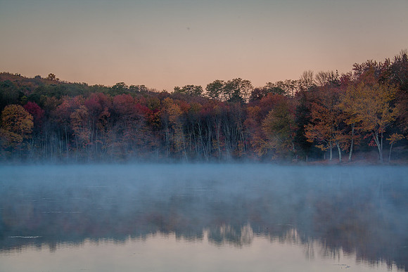 EARLY MORN