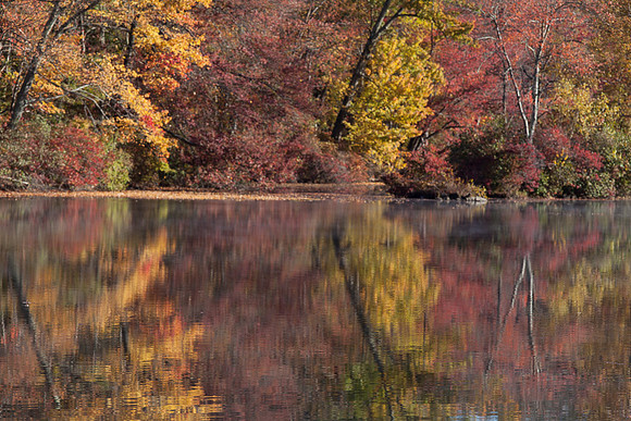 REFLECTION