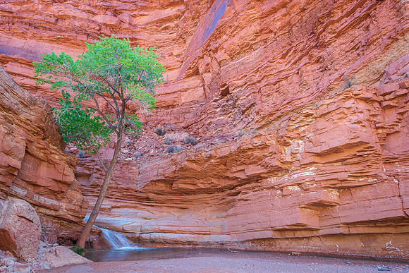 CANYON FLOW