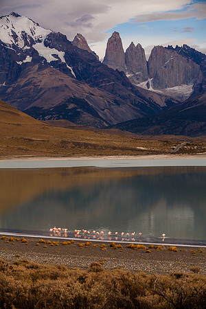 LAGUNA AMARGA