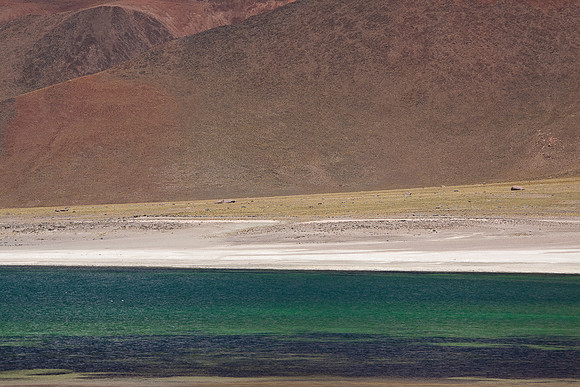MISCANTI LAGOON