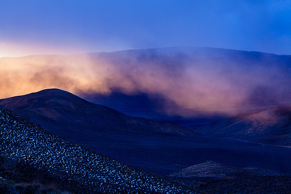 FOG