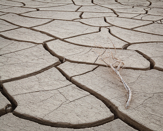 MUD CRACKS