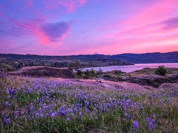 CATHERINE CREEK