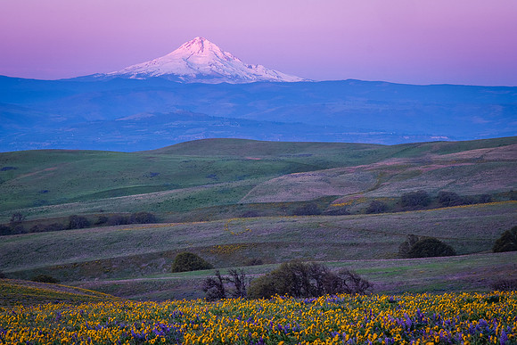 MT HOOD