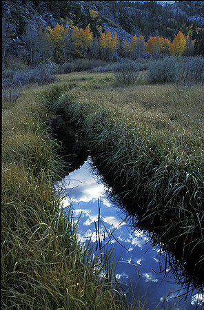 Cloud-stream
