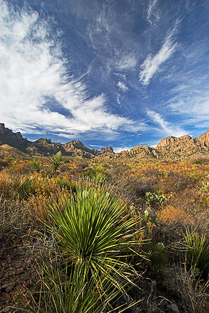 BASIN SKIES