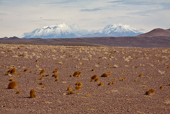 ALTIPLANO 2