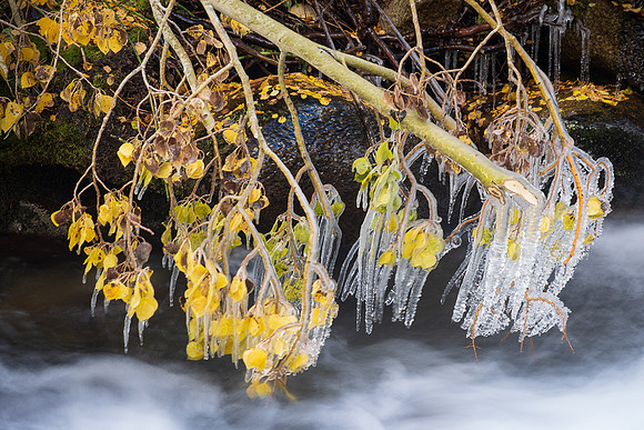 ASPEN ON ICE