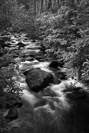Little River