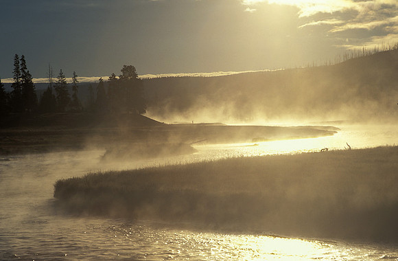 YELLOWSTONE STREAM