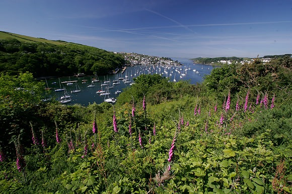ABOVE FOWEY