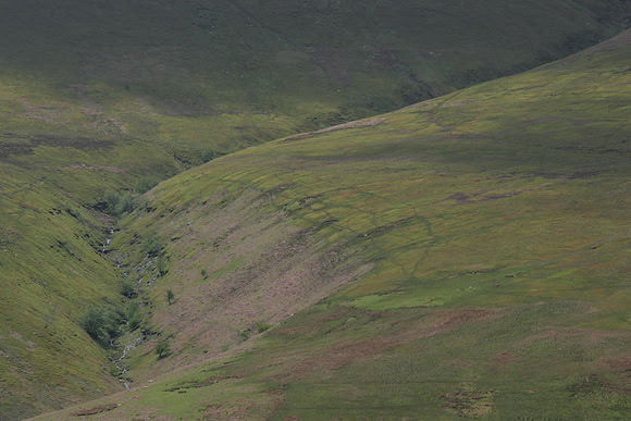 GREEN VALLEYS