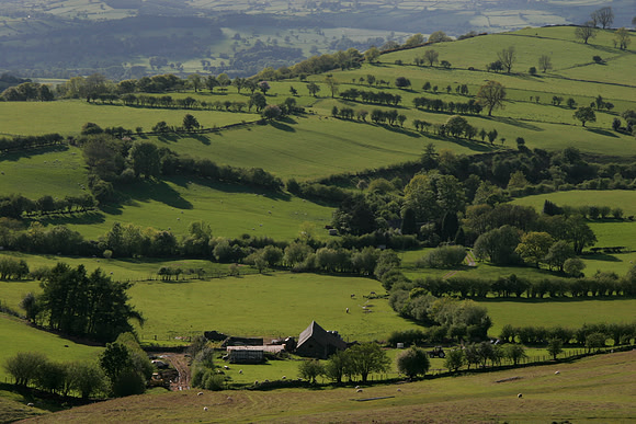 OUTSIDE WYE