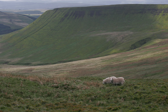 CRAIG Y FAN DDU2