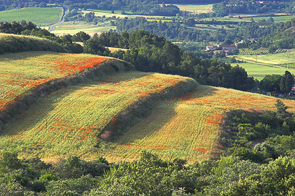 Terraces