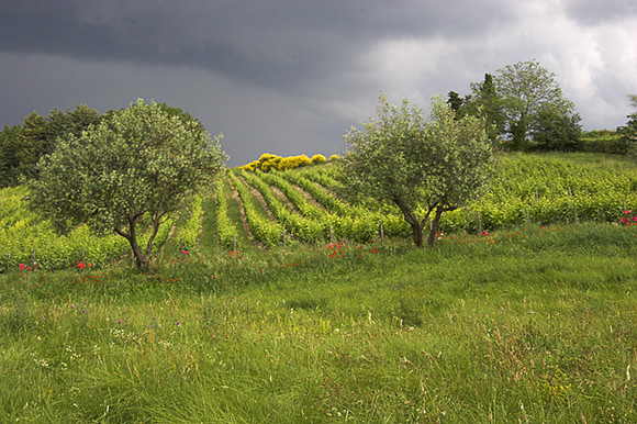 Storm