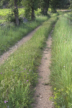 Road