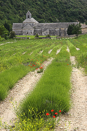 Abbey