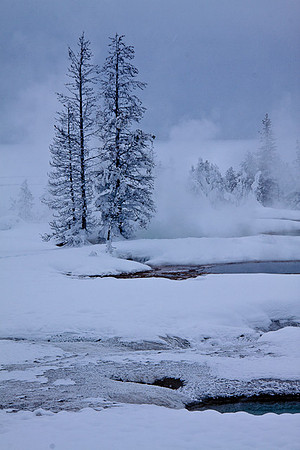 Winter Steam