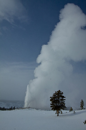 Old Faithful