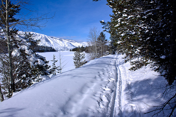 Cross Country