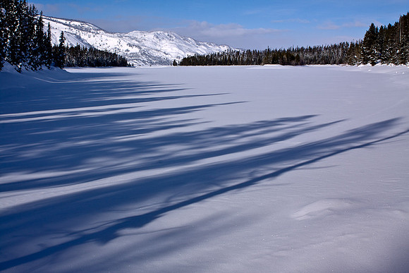 Jenny Lake