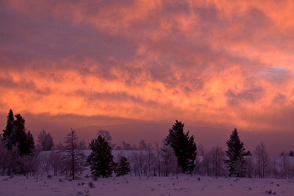 Red Sunrise