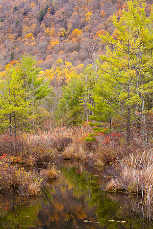 LABRADOR POND