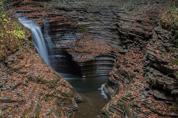 CIRCULAR POOL
