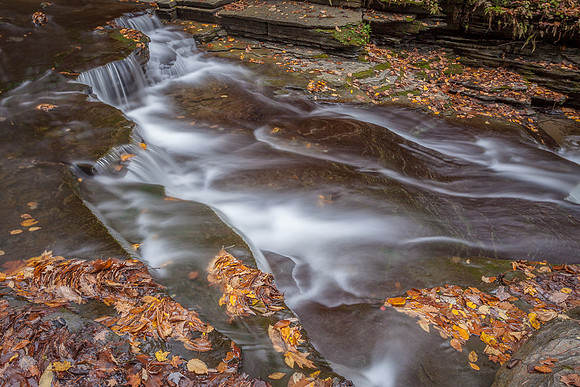 STREAM DETAIL