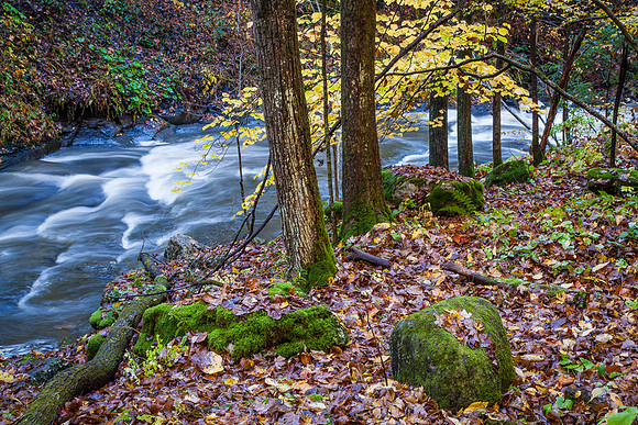 MCCLURE CREEK