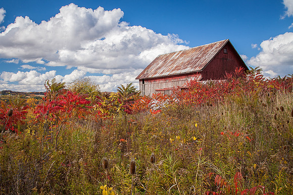 BARN