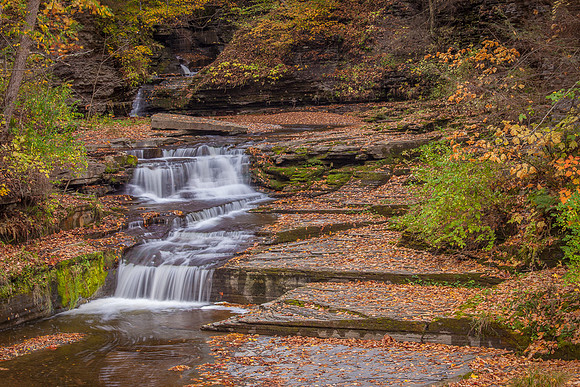 MCLURE CREEK