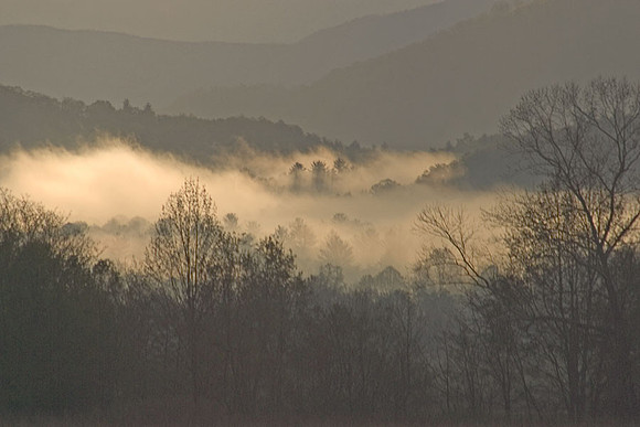 Fog