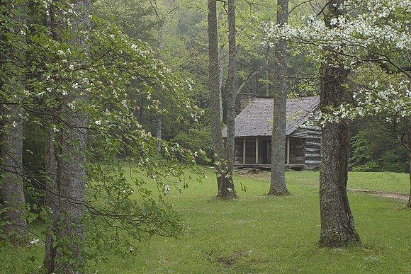 Cabin