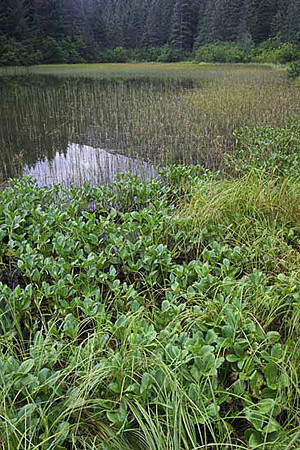 Two-lakes-trail