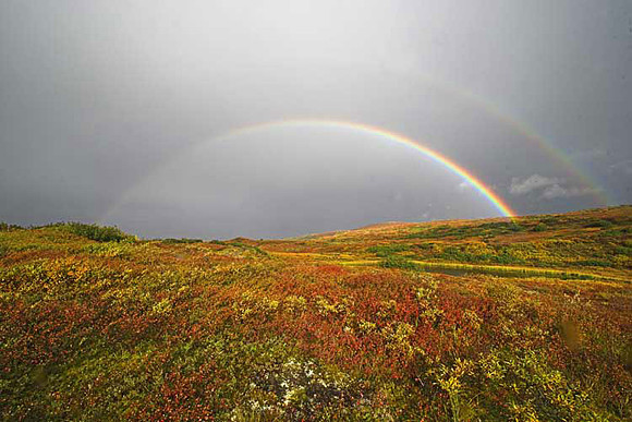 Rainbow