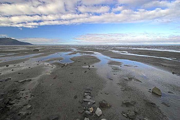 Turnagain-flats