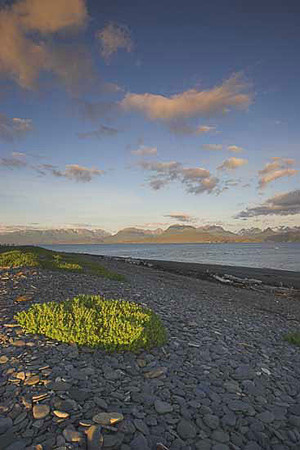 Land's-End
