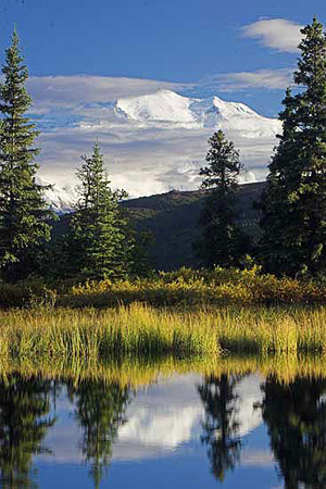 Denali