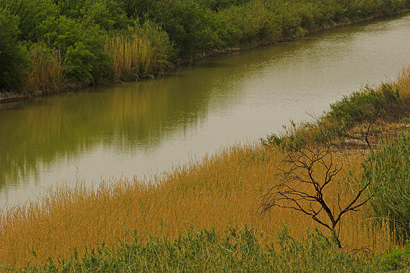 RIO GRANDE DETAIL