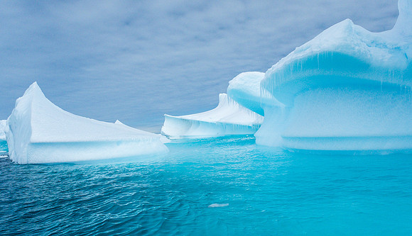 STUDY IN BLUE AND WHITE
