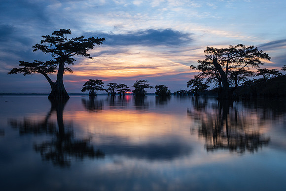 LAST LIGHT